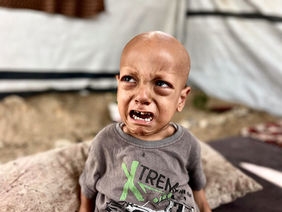 Data, October 7, 2023 - September 4, 2025 – The Gaza Strip