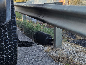 יום שני, 19 באוגוסט, 2024 – הגדה המערבית