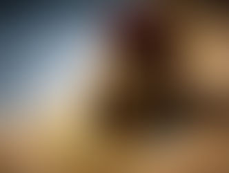 כמה הערות על המלחמה