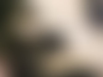 יום חמישי, 11 בדצמבר, 2025 – הגדה המערבית