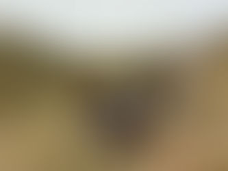 Wednesday, April 15, 2026 – The West Bank