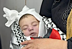 Ahmad Marouf Zeid