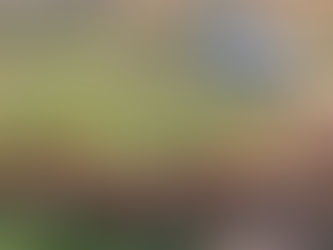 יום שני, 2 בפברואר, 2026 – הגדה המערבית