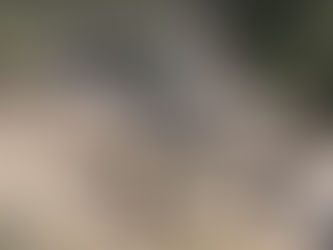 יום שבת, 5 ביולי, 2025 – הגדה המערבית