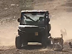 Friday, August 29, 2025 – The West Bank