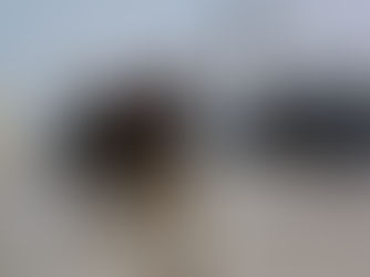 Tuesday, February 24, 2026 – The Gaza Strip