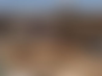 Data, October 7, 2023 - June 30, 2025 – The West Bank