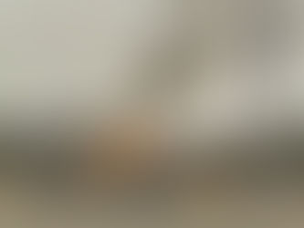 Thursday, February 19, 2026 – The West Bank