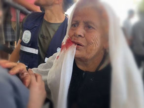 Data, January 1, 2026 - June 12, 2026 – The Gaza Strip