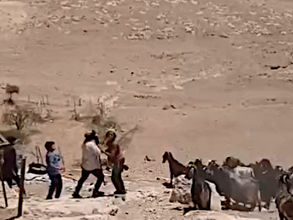 Friday, May 22, 2026 – The West Bank