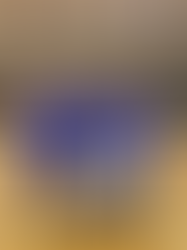 RETOUR SUR LES COMPÉTITIONS DE JANVIER 2022