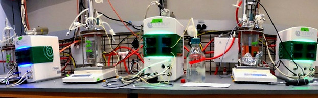 Image uploaded from iOS (1)_edited_edite