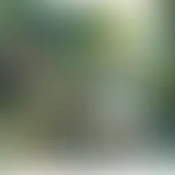 A Dad’s Guide to Forest Schools: Building Skills in the Great Outdoors