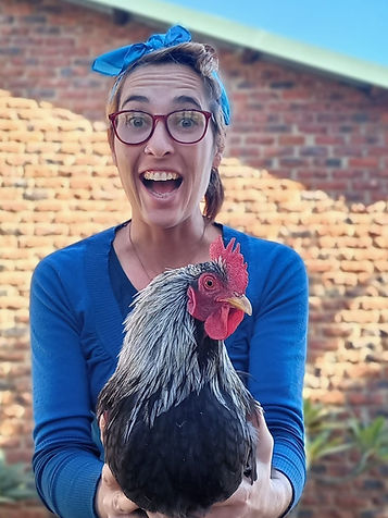 mrsh00ster chicken.jpg