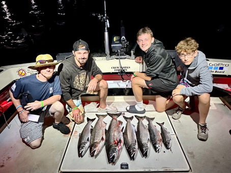 The Night Bite is on...