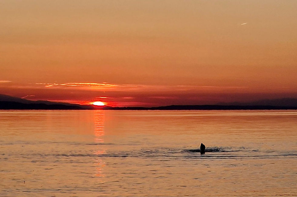Ganz, Mutig und Frei Mein Kompass zeigt Richtung Sonne