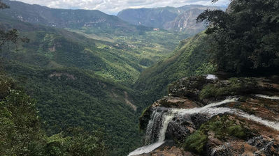 Vue panoramique de la jungle amazonienne, un dernier au revoir à la nature luxuriante avant le retour à la civilisation.