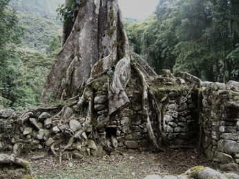 Photo d’Espíritus Pampa, une ancienne cité inca cachée dans la jungle de Vilcabamba, symbole de la résistance face à la conquête espagnole.