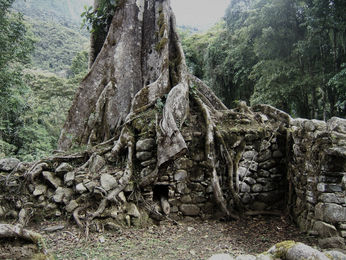 Photo d’Espíritus Pampa, une ancienne cité inca cachée dans la jungle de Vilcabamba, symbole de la résistance face à la conquête espagnole.