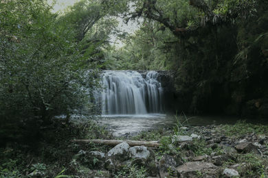 Cascade majestueuse nichée dans la jungle amazonienne, entourée de végétation dense et offrant un spectacle naturel unique au Pérou.