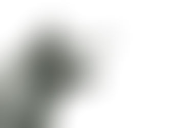 los toros no invisten