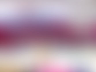 Steel Pans Perform for VSBA