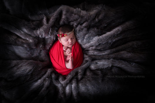 séance newborn Autun