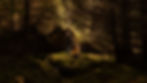 BH4A0999.jpg