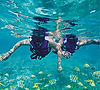 Snorkeling (1).jpg