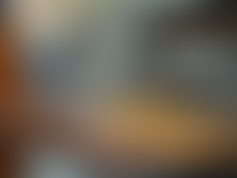 O Impacto de Nossas Ações em Abrigos