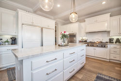 6 Lippizaner Coto de Caza