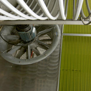 Blast Freezer