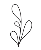 Logo canopée sans fond.png