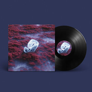 Vinyl mockup