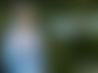 So What's a Princess Ball anyway?