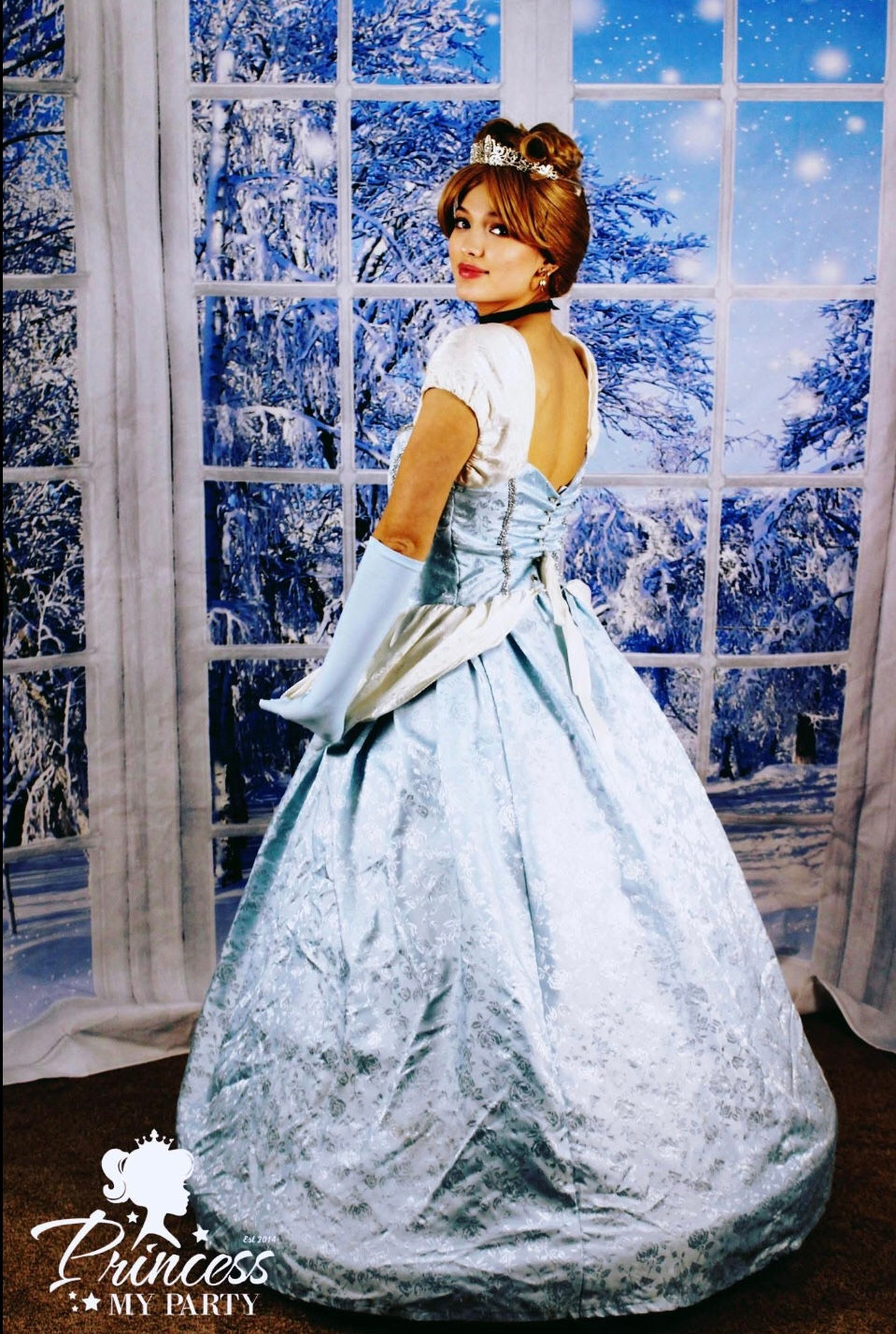 Glass Slipper Princess