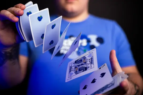 OPC Snackers Blueberry Playing Cards