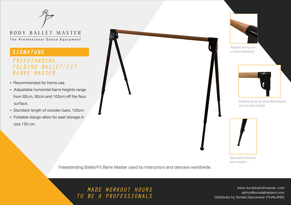 Thumbnail: Signature Freestanding Folding Ballet/Fit Barre