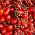 san_marzano_2.jpg