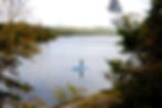 A woman on a blue paddle board on a lake. She is surrounded by trees.