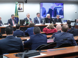 Audiência pública na Câmara propõe criação de data nacional em homenagem à comunidade polonesa no Brasil
