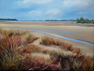 tidal beach grasses and land in the distance very distant yachts