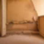 Wall destroyed by moisture and mold.jpg