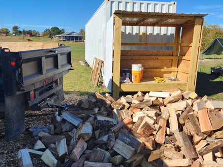 How Much Firewood Do You Need for an East Tennessee Winter?