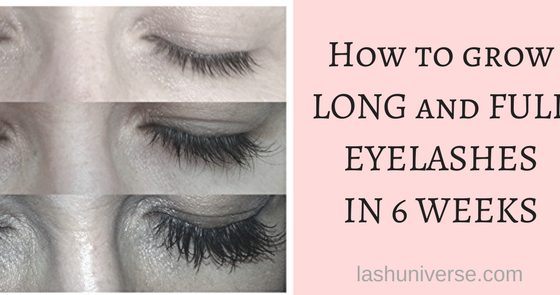 How to grow long and full eyelashes in 6 weeks