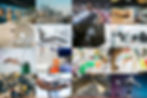 picture, industry collage, 01-22-2024.jpg