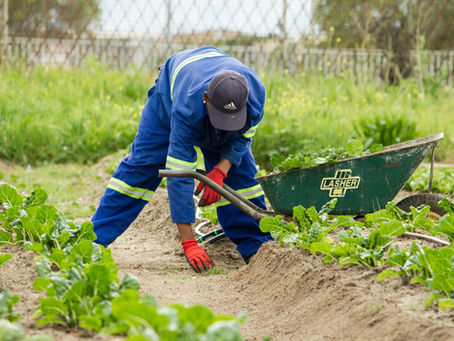 How to Write the Best Nonprofit Website Content Ever