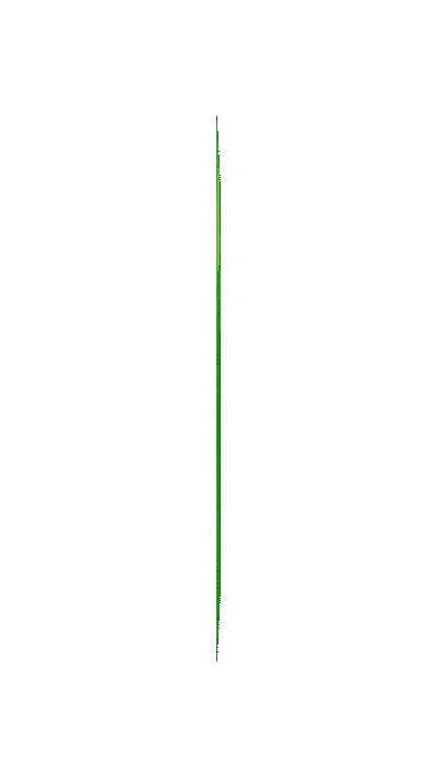 door 5 3 optimized.gif