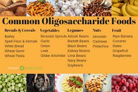 An Introduction to Life with IBS