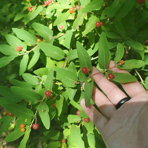 Red Flags: (A)sexuality & Respect